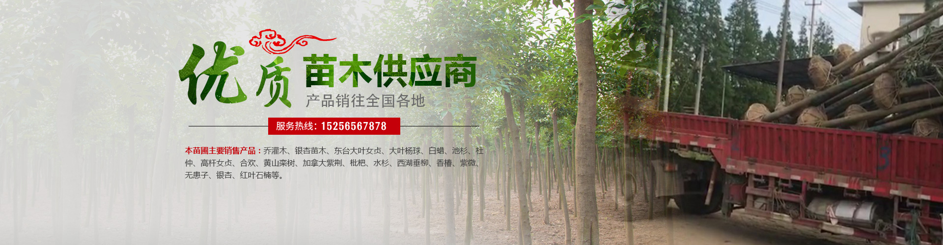 幻灯片B